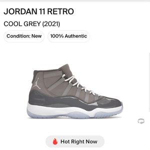 Jordan 11 Retro Cool Grey Mens 10.5